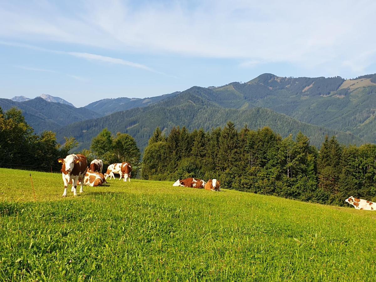 거스텔링안더얍스 Biobauernhof Obereck 아파트 외부 사진