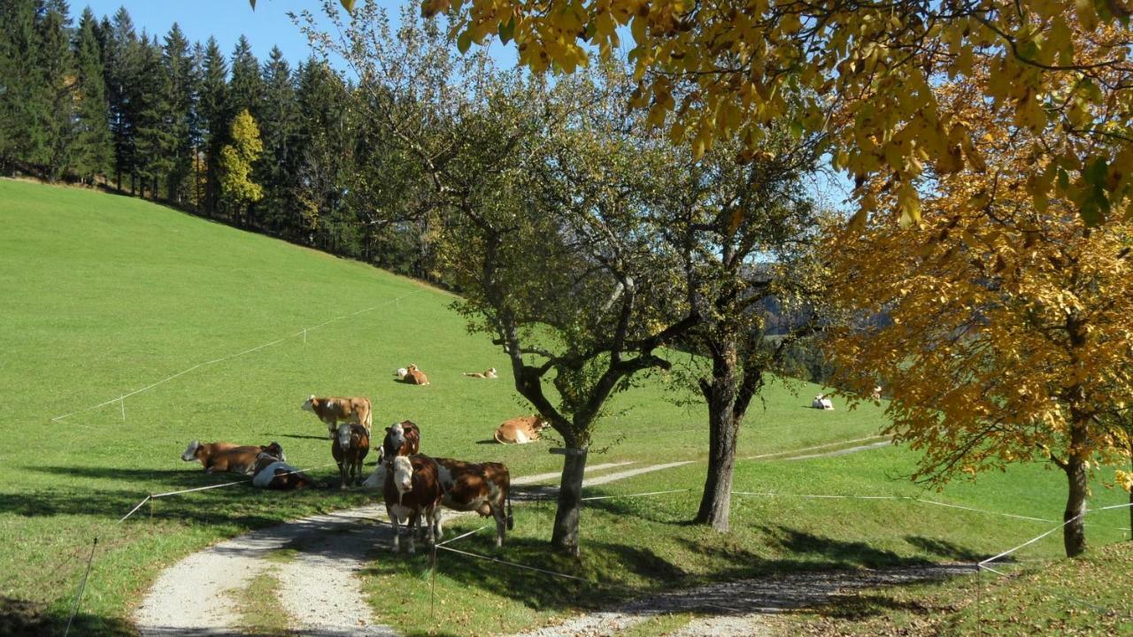 거스텔링안더얍스 Biobauernhof Obereck 아파트 외부 사진